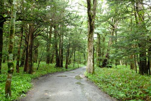 e0304001_22264440.jpg