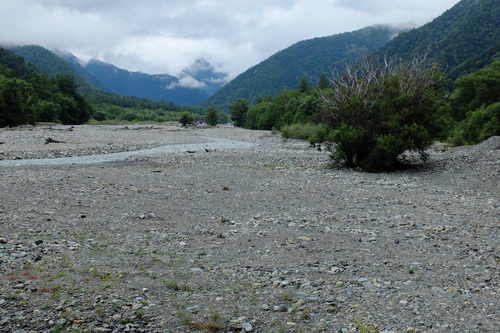 e0304001_2231494.jpg