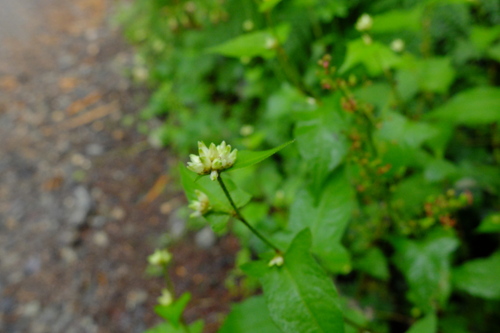 e0304001_22344357.jpg