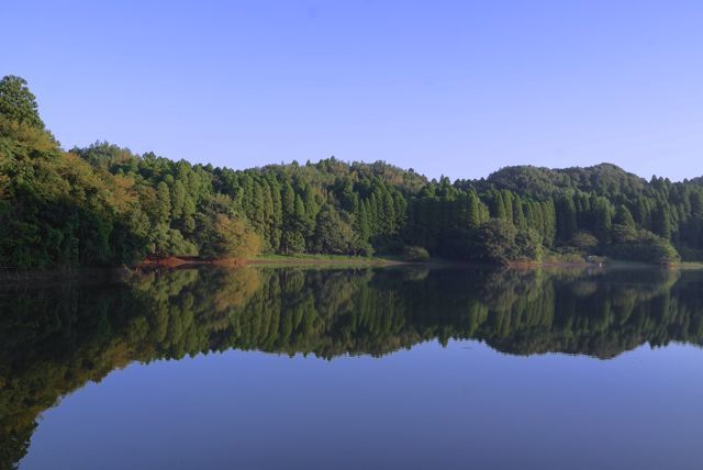 c0127403_07585449.jpg