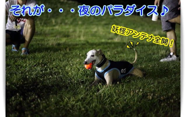 e0100007_8333284.jpg