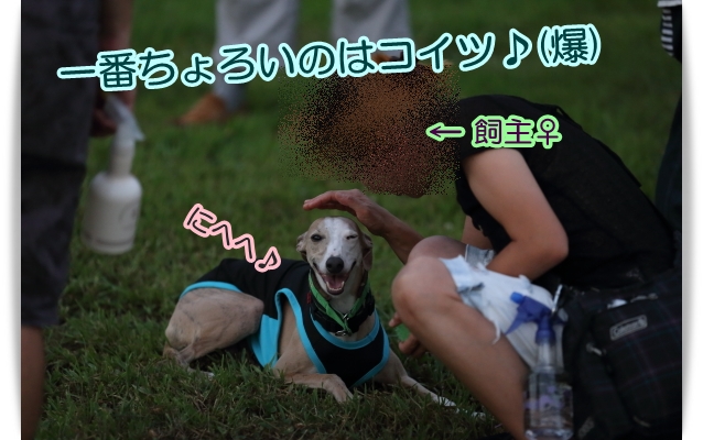e0100007_833717.jpg