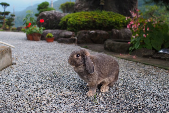 夕方の庭で…_a0268412_2265086.jpg