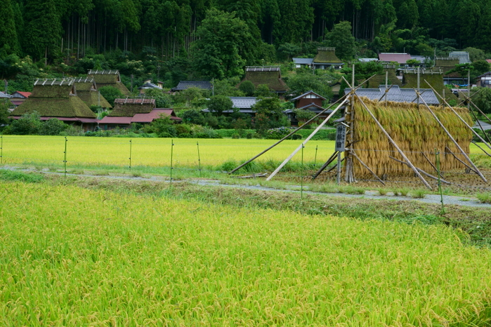 美山かやぶきの里_e0177413_20184289.jpg