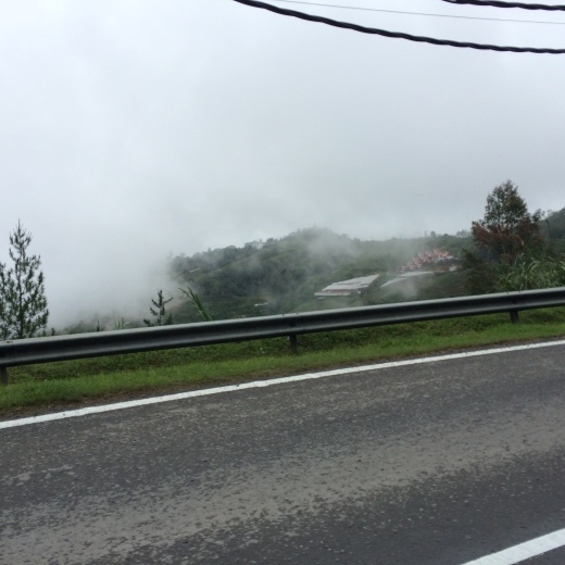 ツアー3日目 ポーリン温泉とキャノピーウォーク 1_d0336014_01243042.jpg