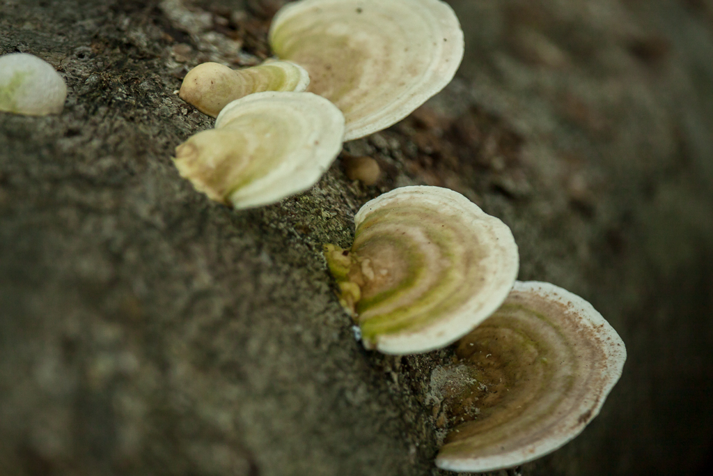 b0010915_22391838.jpg