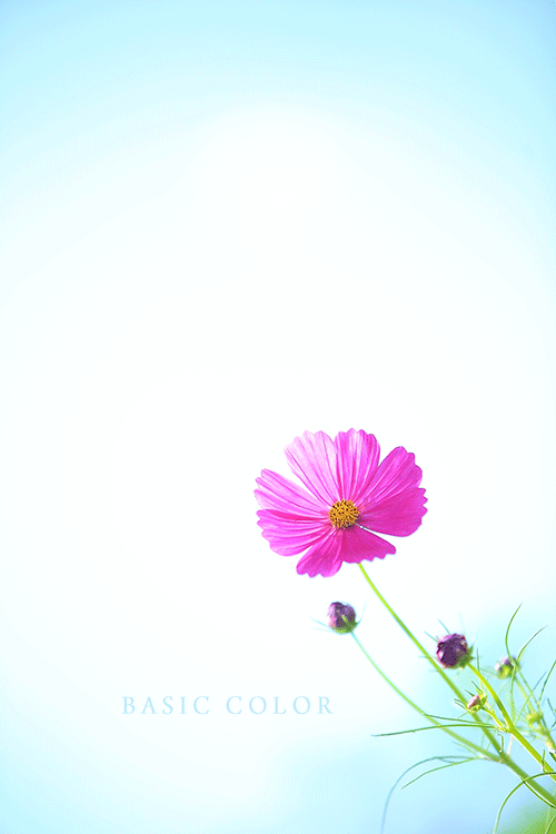 c0345215_17203627.gif