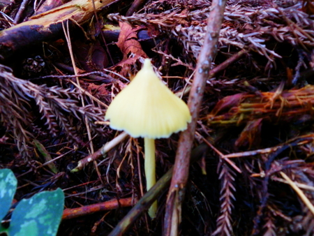 e0252819_20132124.jpg