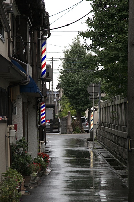 秋雨_b0128621_21185761.jpg
