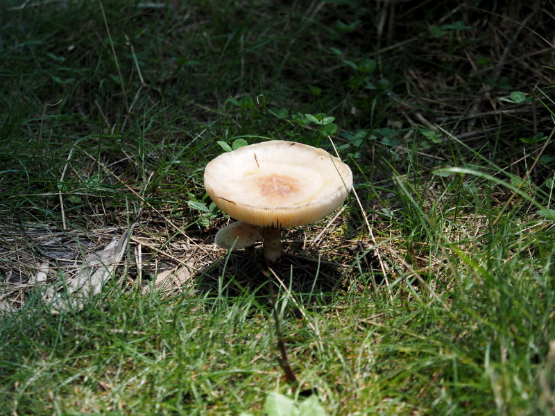 f0330321_163263.jpg