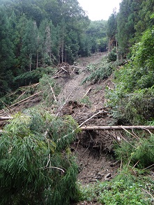 1239   入山沢支流見通沢、中ノ沢調査_e0266825_15443086.jpg