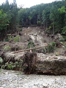 1239   入山沢支流見通沢、中ノ沢調査_e0266825_1545886.jpg