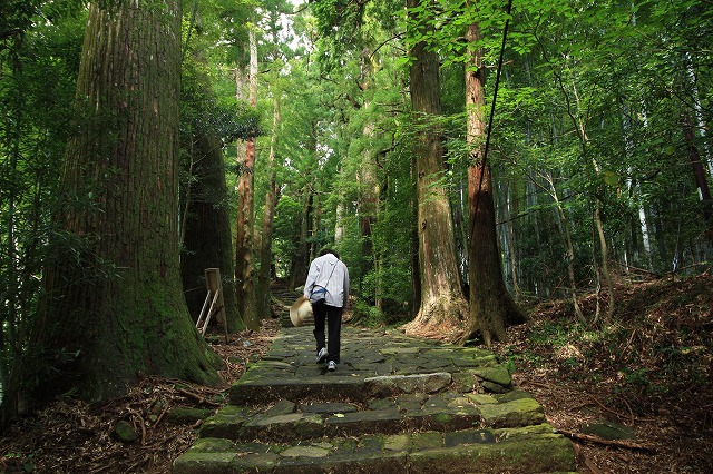 熊野古道・大門坂、散策（その2）_e0321325_14513174.jpg