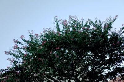 f0132230_2232840.jpg