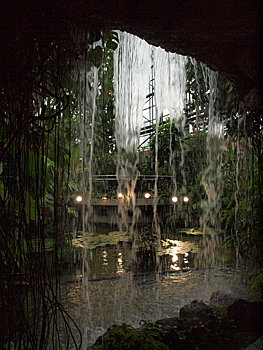 d0273732_17162686.jpg
