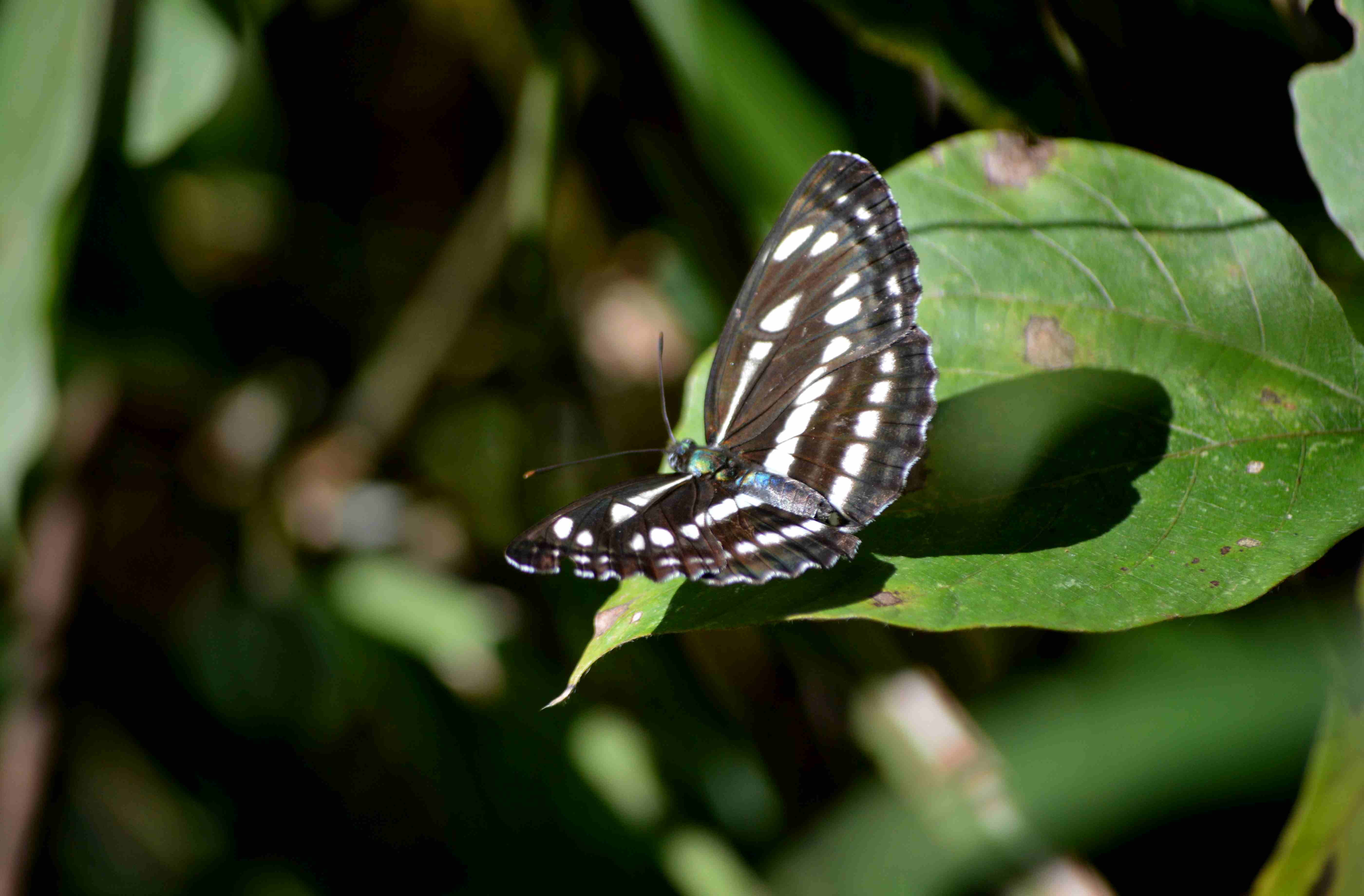 d0254540_66261.jpg
