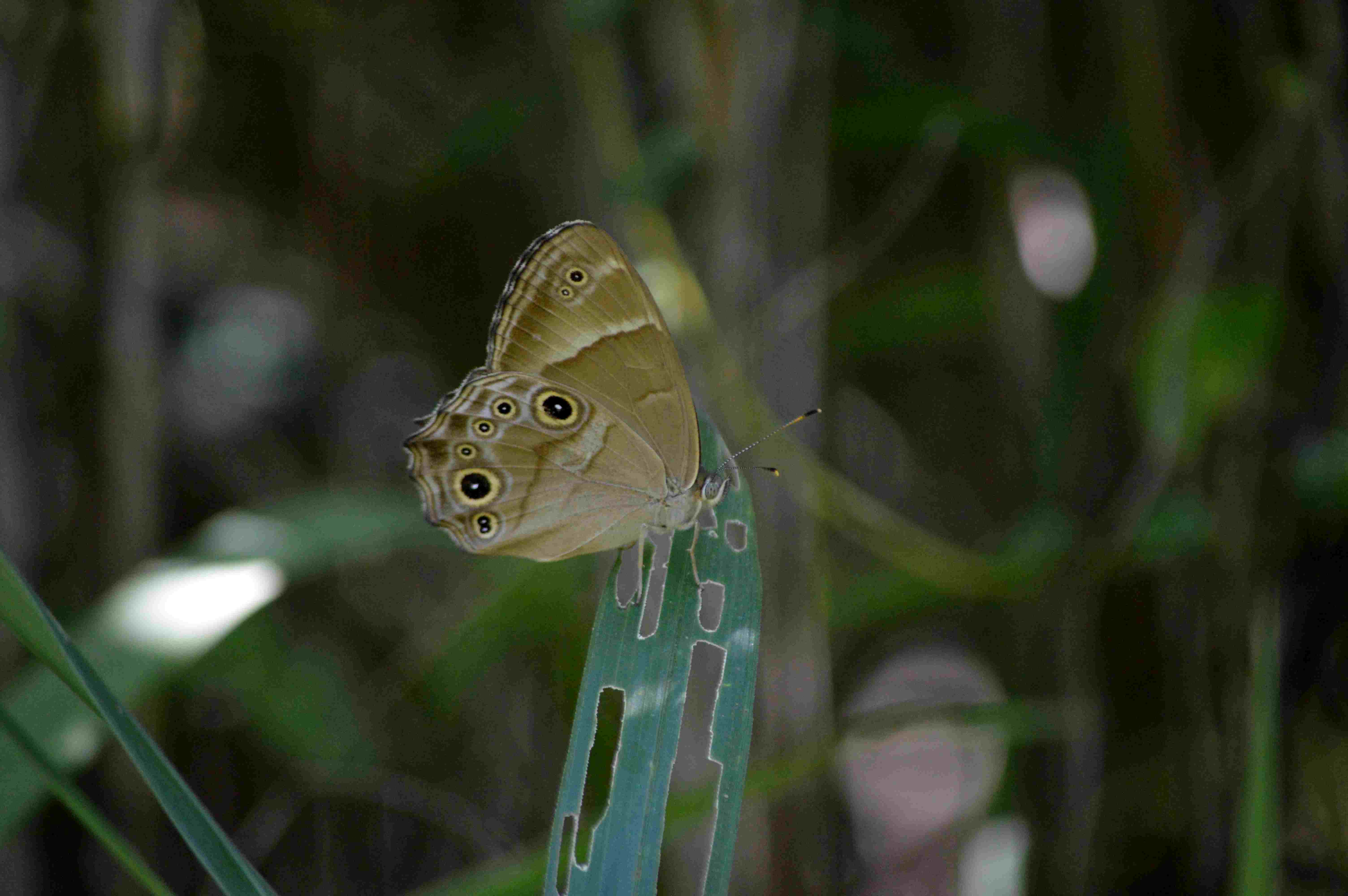 d0254540_68798.jpg