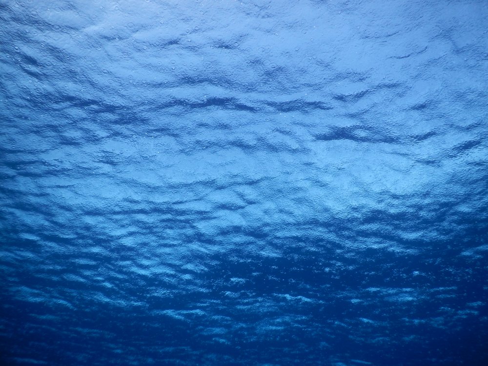 d0142944_023173.jpg