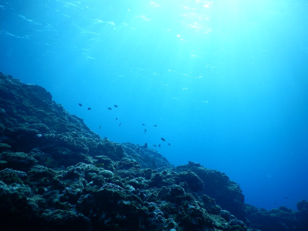 d0142944_0234278.jpg