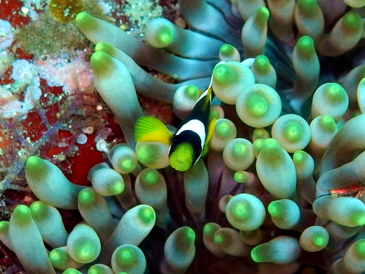 b0236647_12251010.jpg