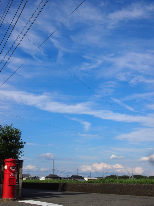 秋のすじ雲にのって　　　愛知　あま市_e0201648_1762714.jpg