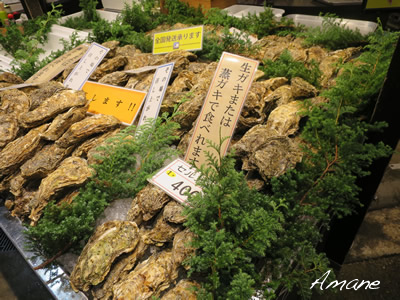 金沢から輪島へ_e0262651_17224737.png