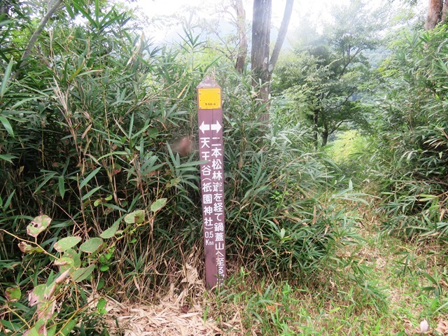 菊水山~鍋蓋山_b0227552_10133326.jpg