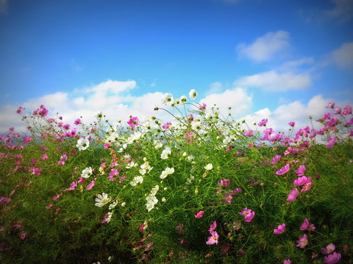 お山は、もう秋の景色♪_f0236260_029656.jpg