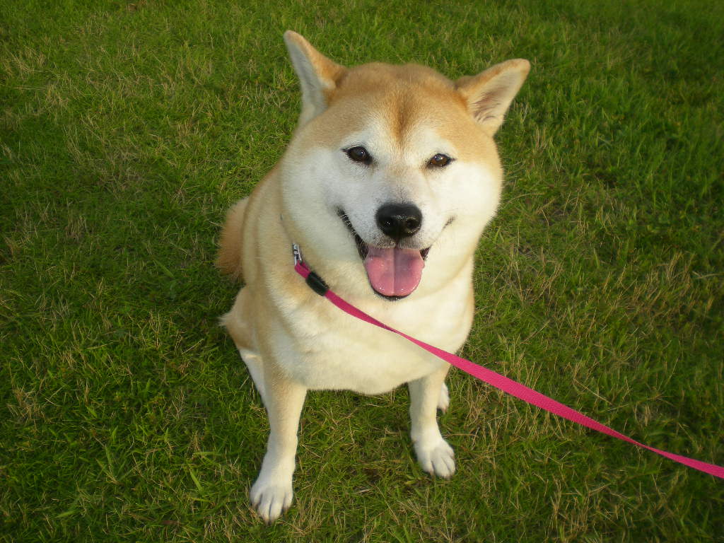 ’15,9,13(日)9月は忙しい!_f0060461_1025485.jpg