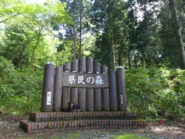 2015　県民の森　@　秩父_c0134862_23404221.jpg