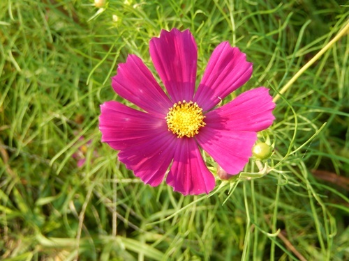 e0345868_23422899.jpg