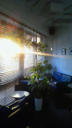 b0001280_2241750.jpg