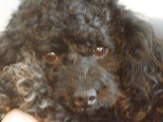 2015年9月13日 ウサギとカメ_b0098584_173544.jpg