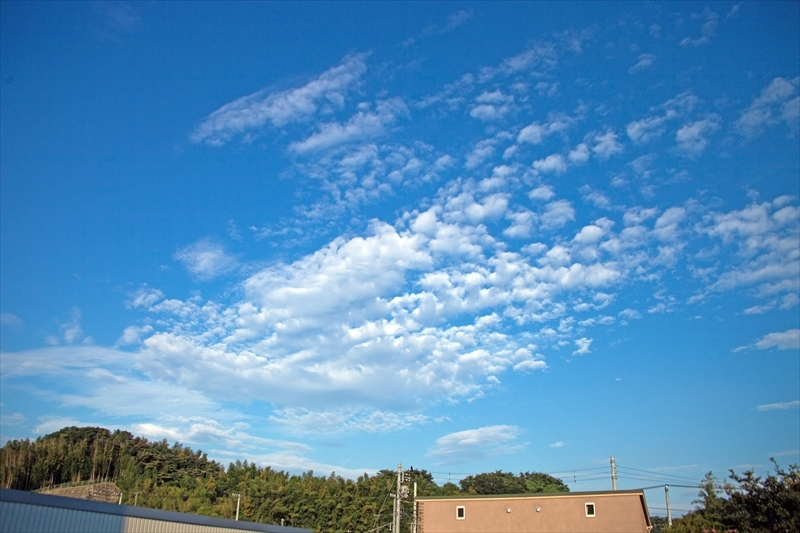 e0305388_09130422.jpg
