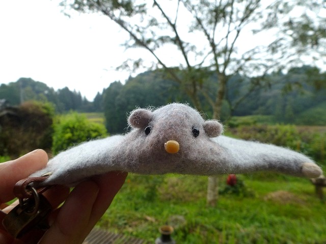 c0165589_1036792.jpg