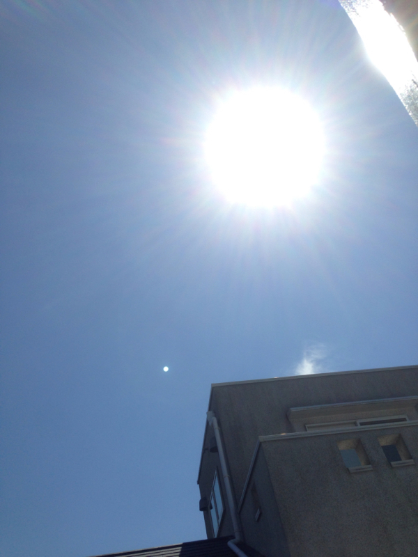 f0298891_10342885.jpg