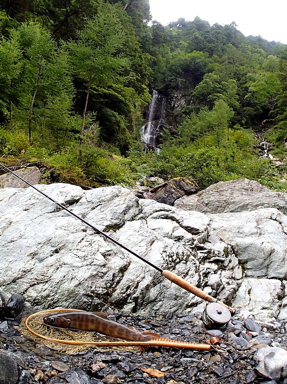 c0339900_19413050.jpg