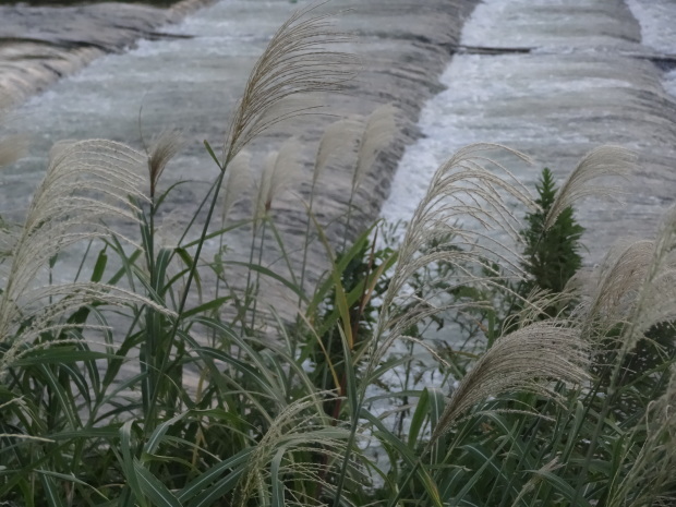 f0337700_22394366.jpg