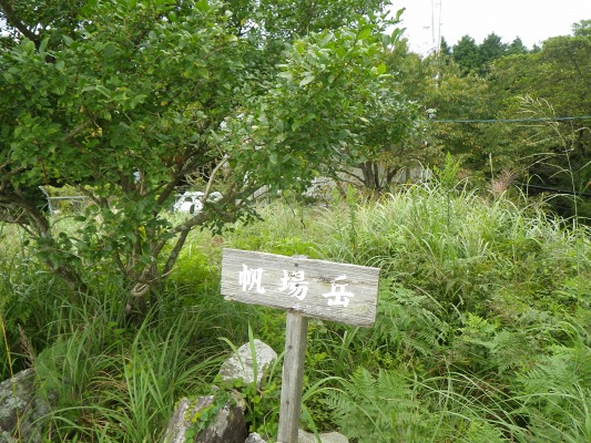 f0187402_1959212.jpg