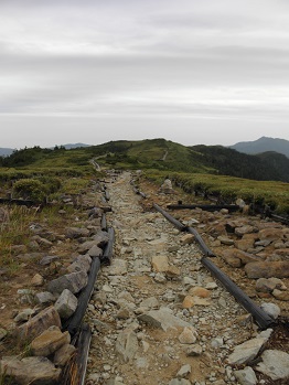 d0032405_20314146.jpg