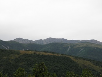 d0032405_2033243.jpg