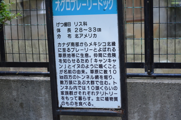 c0336907_20542845.jpg