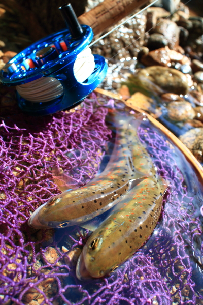 e0174008_20141339.jpg