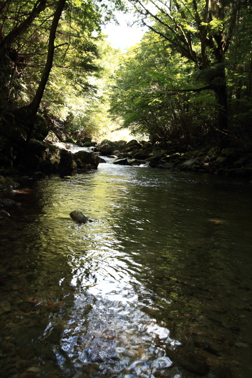 e0174008_20142853.jpg