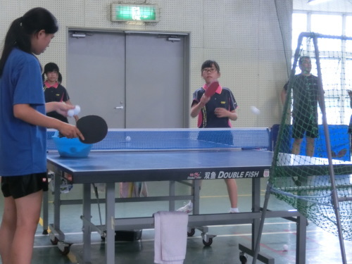 卓球部 竜北中学校合同練習会 ヤマガクマ 日記