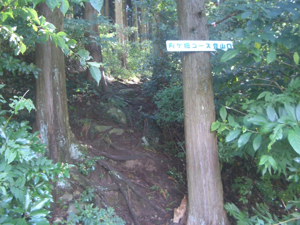 d0198313_825679.jpg