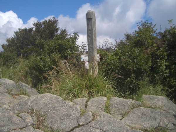 d0198313_86421.jpg