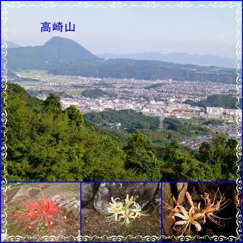 2015-9月・・・霊山の花たち_e0241417_15551411.jpg