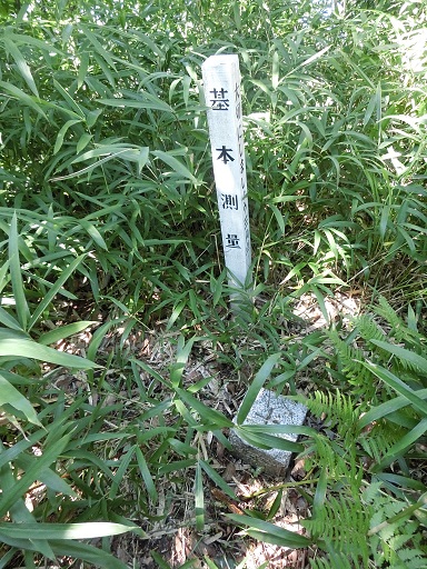 b0181818_1817649.jpg