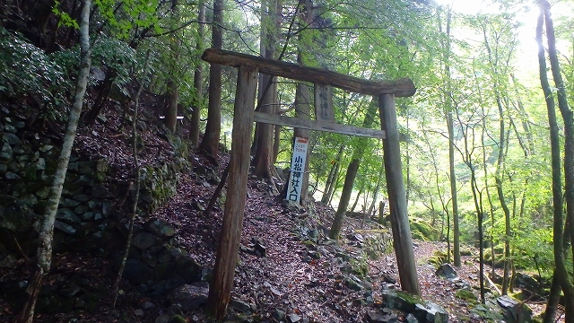 f0193521_11305153.jpg